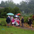 Discussion group- January 2012- Cambridge Tree Trust